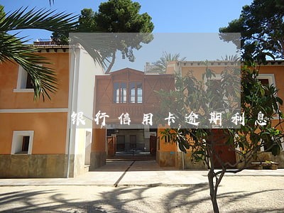 银行信用卡逾期利息 罚金 银行信用卡逾期利息 罚金